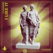 Обложка CASSIMM – I Like It (Extended Mix)