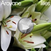 Обложка Arovane – Pink Lilies