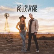Обложка Sam Feldt – Winter Wonderland