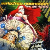 Обложка Infected Mushroom – Dracul