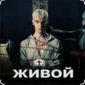 Обложка Shaman – Живой
