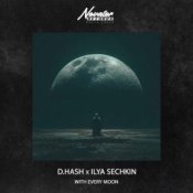 Обложка D.Hash & ILYA SECHKIN – With every moon