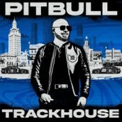 Pitbull feat. T-Pain & El Micha – Lit In The City