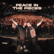 Обложка David Puentez & ISAAK – Peace In The Pieces