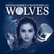 Обложка Selena Gomez & Marshmello – Wolves (TCM Hardstyle Remix)
