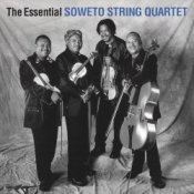 Обложка The String Quartet – Paint in black