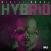 Обложка Hybrid – Break My Soul