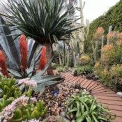 Обложка Echo Gardens – Den nich