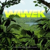 Обложка Wiwek – Salute