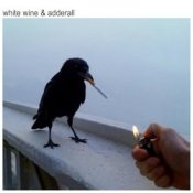 The Chainsmokers & Beau Nox – White Wine & Adderall