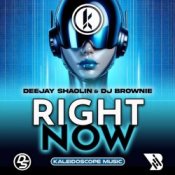 Deejay Shaolin & DJ Brownie - Right Now