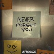 Обложка AFROJACK – Never Forget You