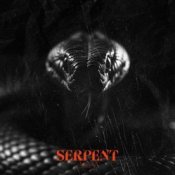 Обложка Sam Tinnesz & Tommee Profitt – Serpent