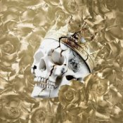 Обложка Jelly Roll feat. Ilsey – When the Drugs Don’t Work