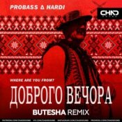 Обложка Probass & Hardi – Доброго Вечора (Where Are You From?) (Butesha Radio Edit)