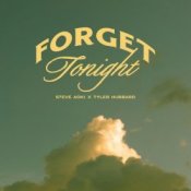 Обложка Steve Aoki – Forget Tonight (feat. Tyler Hubbard)