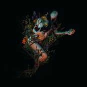 Roniit - Epiphyte