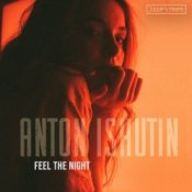 Обложка Anton Ishutin – Into The Night