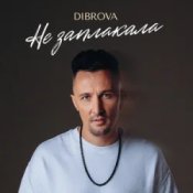 Обложка DIBROVA – Не заплакала