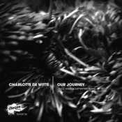 Обложка Charlotte De Witte – When The Going Gets Rough
