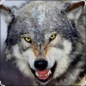 Ваня Barsik – Дивіться суки обережно