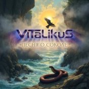 Обложка ViTaLiKuS – Песня о Соколе