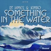 Обложка DT James & Kimbo – Something In The Water