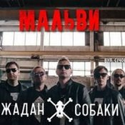 Обложка Жадан і Собаки – Мальви