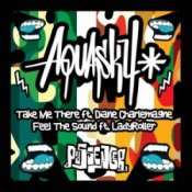 Обложка Aquasky & Diane Charlemagne – Take Me There
