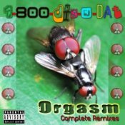 Обложка 1-800-Dis-N-Dat – Orgasm (Dirty Bitch Mix)