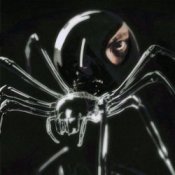 Обложка Dubinin – Чёрная вдова