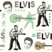 Обложка Elvis Presley – Such a Night