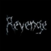 Обложка The Revenge – Every Night