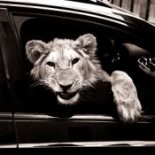 Обложка MACAN & Kiliana – Спокойной ночи