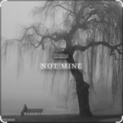 Обложка DNDM – Not Mine (Extended)