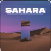 Обложка Moonlight  &  Dayana – Sahara