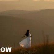 The Shadow - The lesson of love