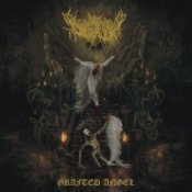 Dollhaver - Spitting Moths