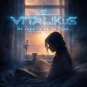 Обложка ViTaLiKuS – На заре ты её не буди…
